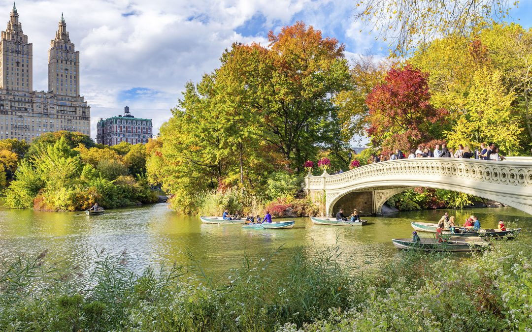 Carnet d’adresses new-yorkaises: Uptown: Upper East Side, Upper West Side, Harlem