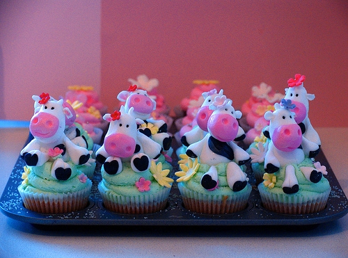 cow cupcakes.jpg