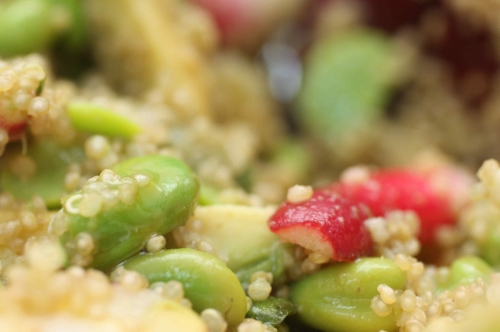 Salade d’avocat, quinoa et fèves