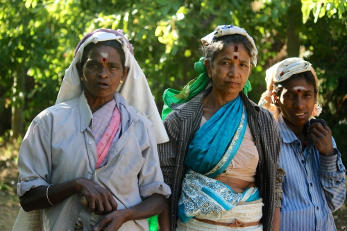 sri lanka,cuisine sri-lankaise,spécialités sri-lankaises,ceylan