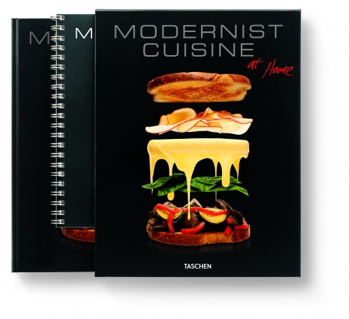 modernist cuisine at home,cuisine moderniste,cuisine moléculaire,cuisine technico-émotionnelle
