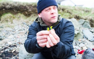 A la cueillette… du gin sur Islay