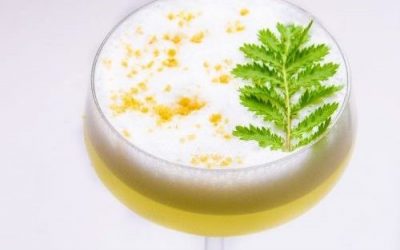 Learn for Ages, when Islay meet Brussels. Un cocktail au gin de Pierre Millour