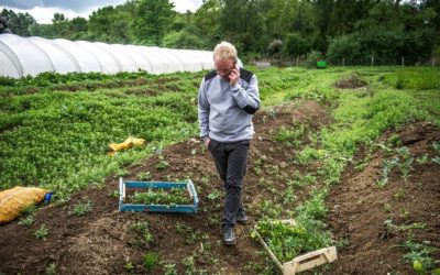 « Les Artisans de Bossimé »: des produits locaux à portée de clic