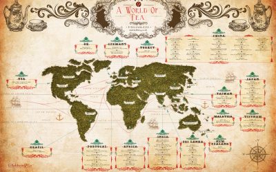Une approche visuelle de la gastronomie