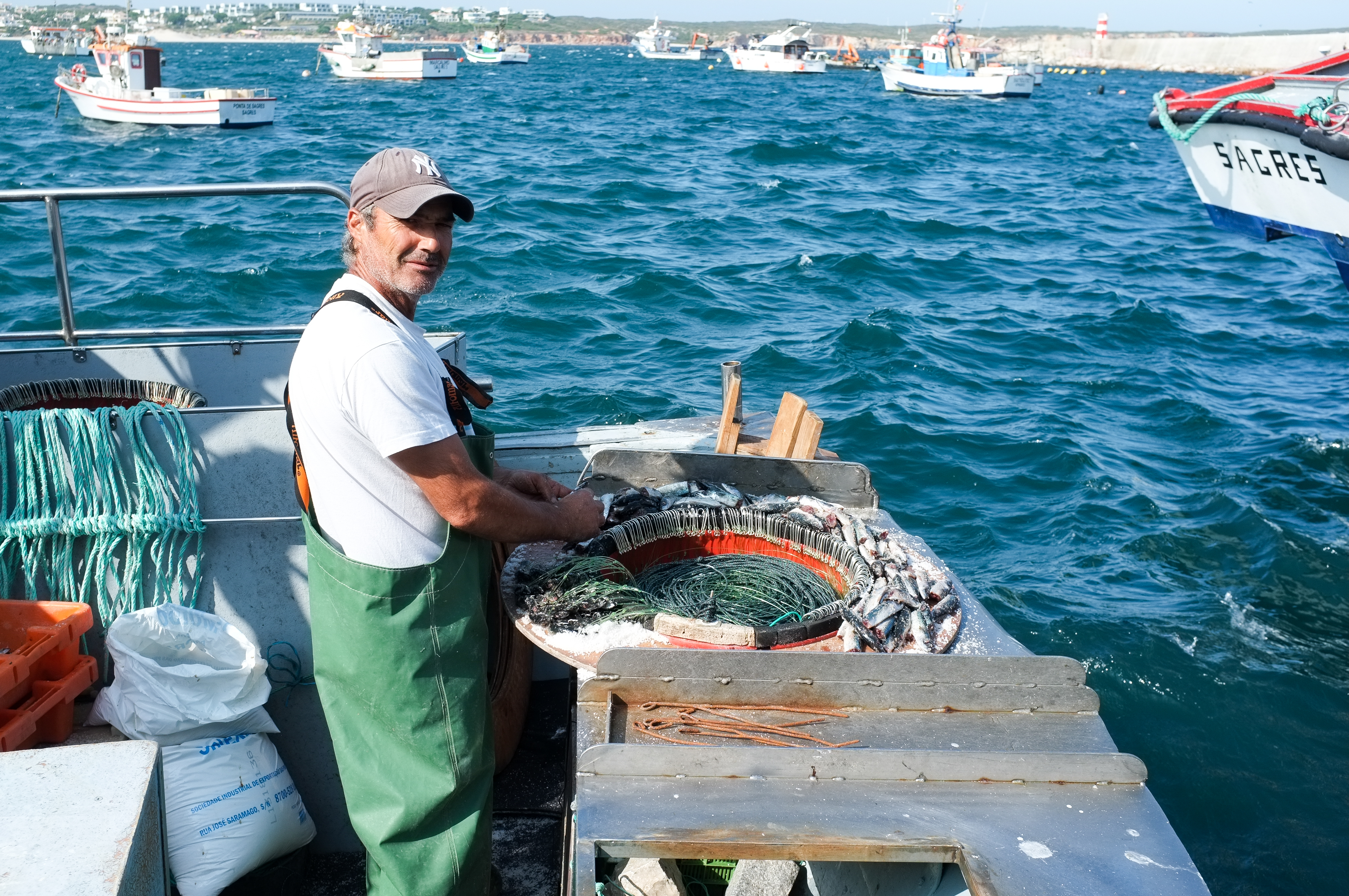 Tous les jours à 17h, sur l'Alfonsino Imperador, on prépare les 10 boîtes avec 180 hameçons rt on y accroche des sardines pour pêcher le  mérou noir ou des dorades royales.
