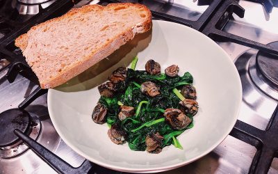 Escargots de Warnant à l’ail des ours du jardin