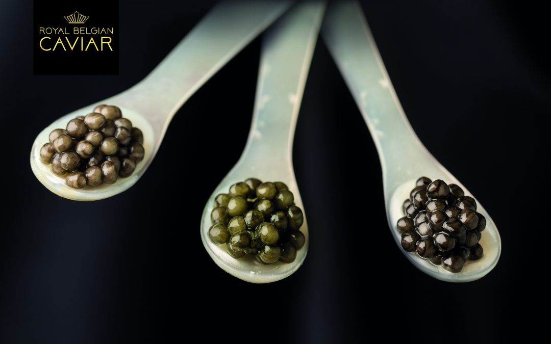 Et si on goûtait à un caviar hennuyer?