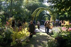 massifs automnaux,des fleurs pour l'automne,floraison bleue octobre,septembre,novembre,celles,fête des plantes rares et de collection,automne 2012,la feuillerie