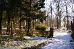 photos,jardin secretgarden hiver,secretgarden sous la neige