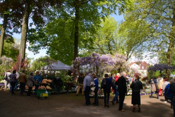journées des plantes de beervelde printemps 2015,le thé au jardin,foire de jardin belgique,fête des plantes belgique